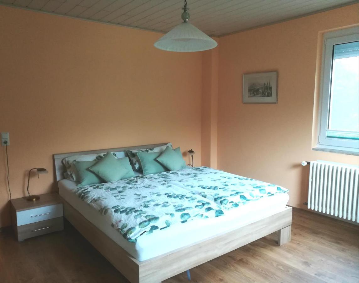 Nichtraucherferienwohnung-Neckarblick Ze-2022-74-Wz-118A Хайделберг Екстериор снимка