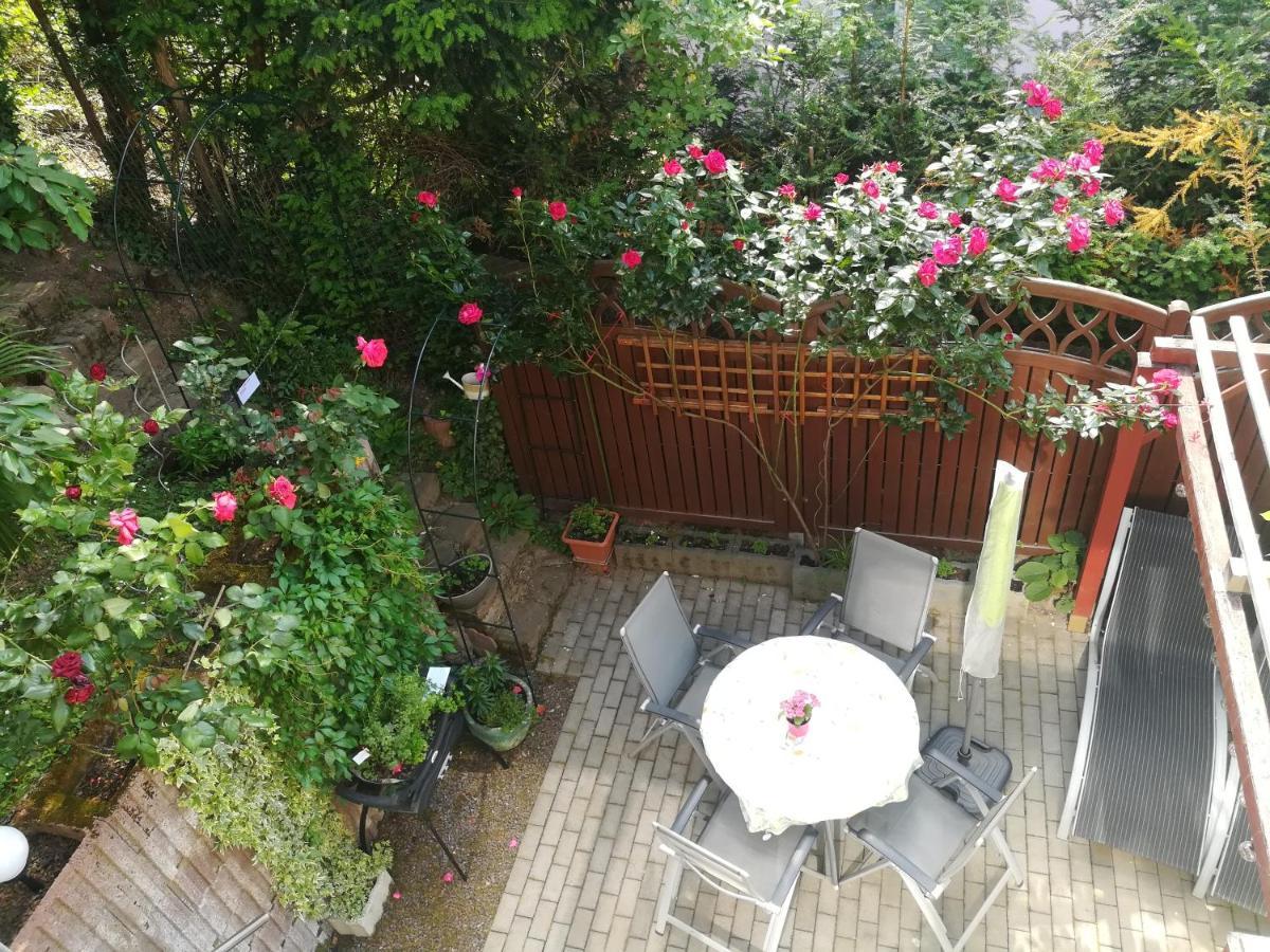 Nichtraucherferienwohnung-Neckarblick Ze-2022-74-Wz-118A Хайделберг Екстериор снимка