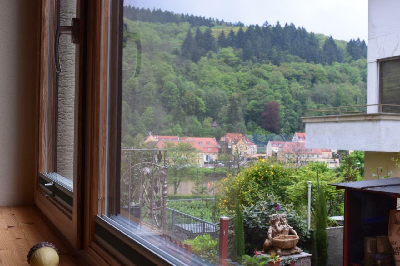 Nichtraucherferienwohnung-Neckarblick Ze-2022-74-Wz-118A Хайделберг Екстериор снимка