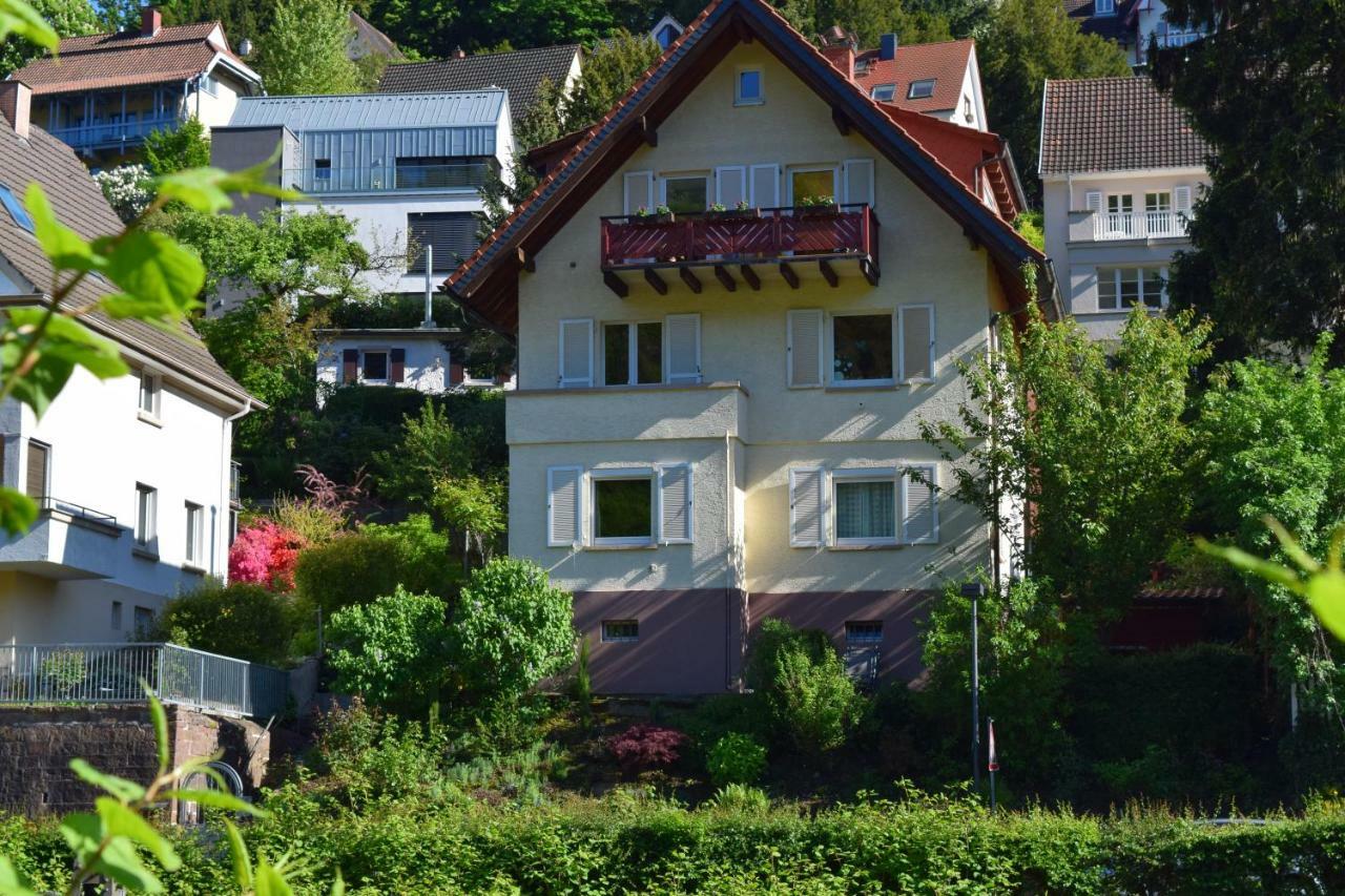 Nichtraucherferienwohnung-Neckarblick Ze-2022-74-Wz-118A Хайделберг Екстериор снимка