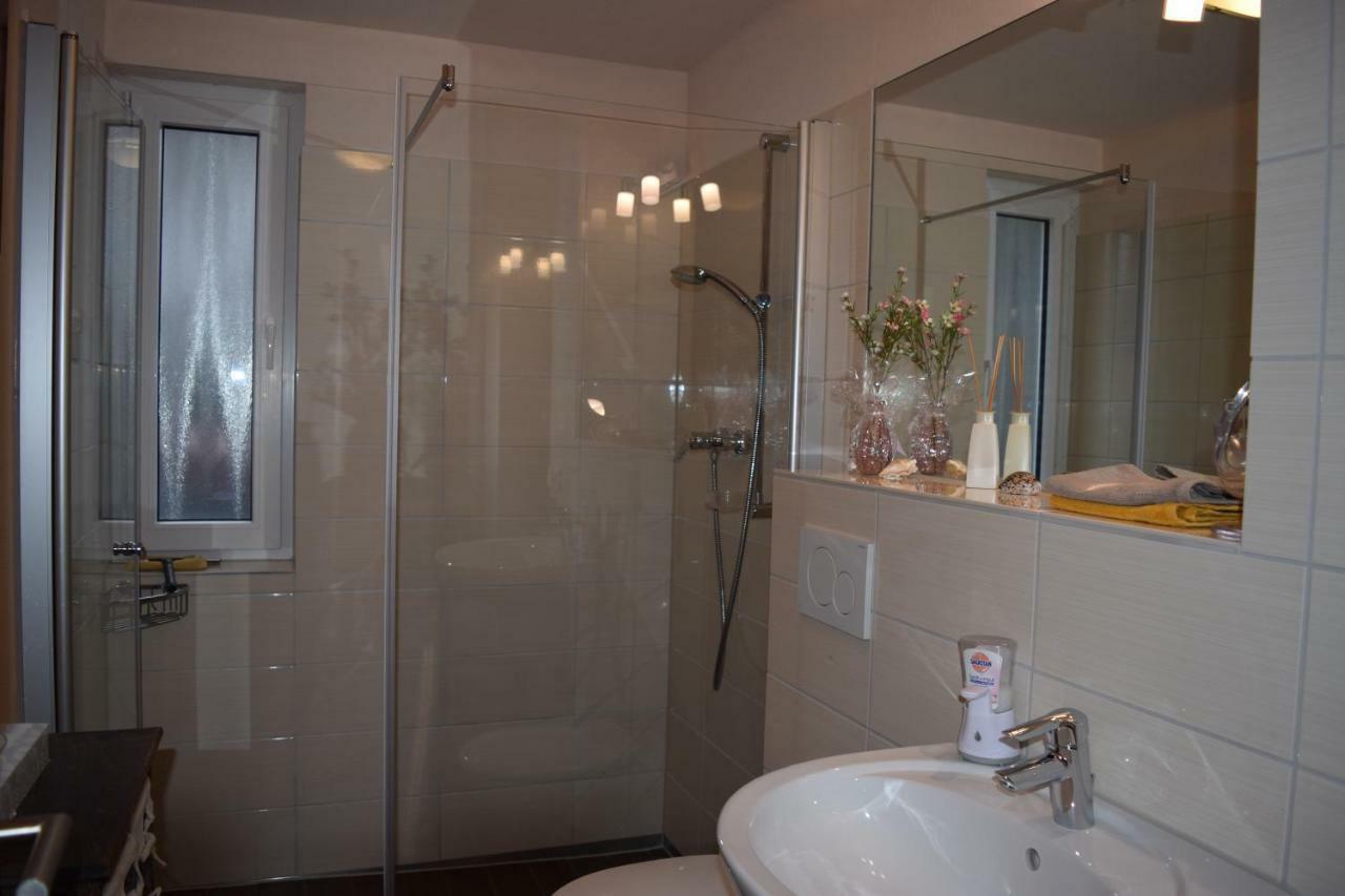Nichtraucherferienwohnung-Neckarblick Ze-2022-74-Wz-118A Хайделберг Екстериор снимка