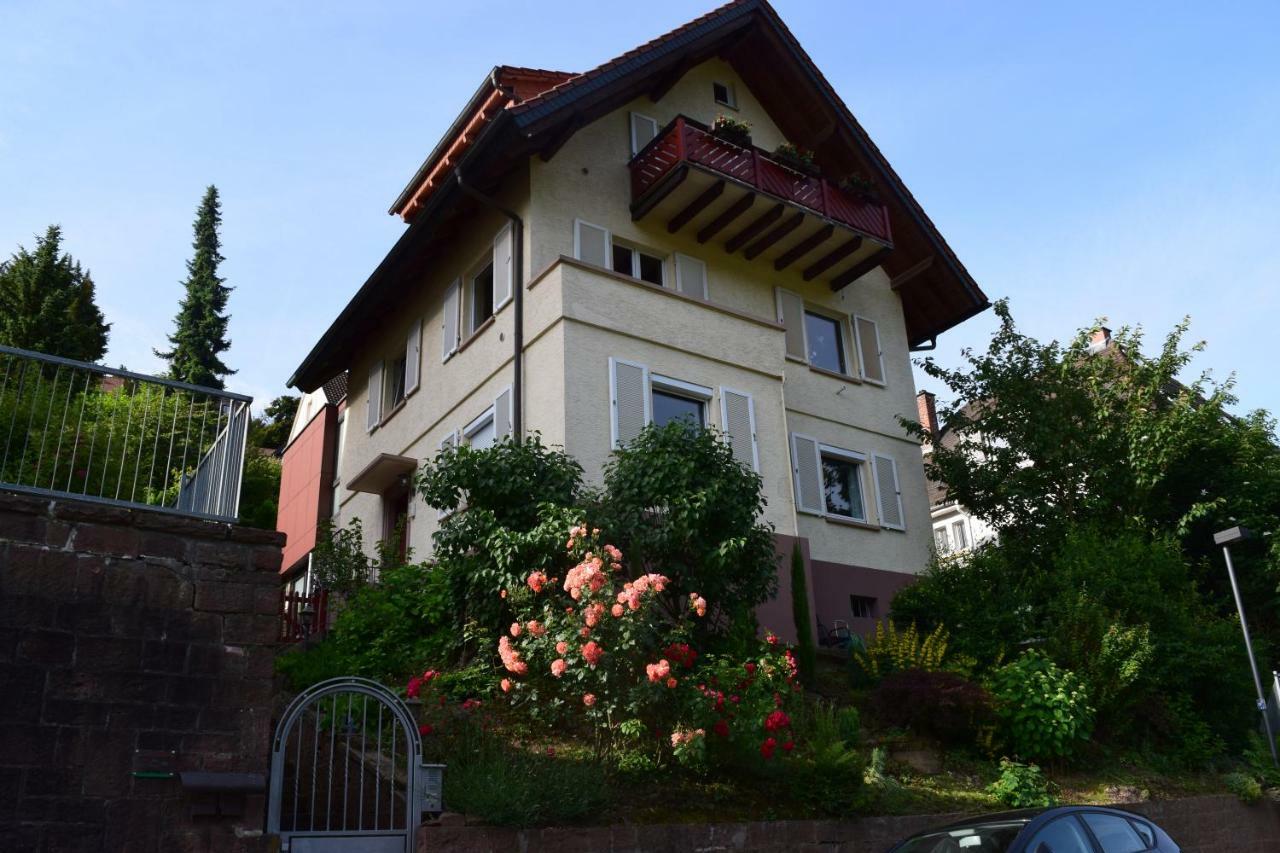 Nichtraucherferienwohnung-Neckarblick Ze-2022-74-Wz-118A Хайделберг Екстериор снимка