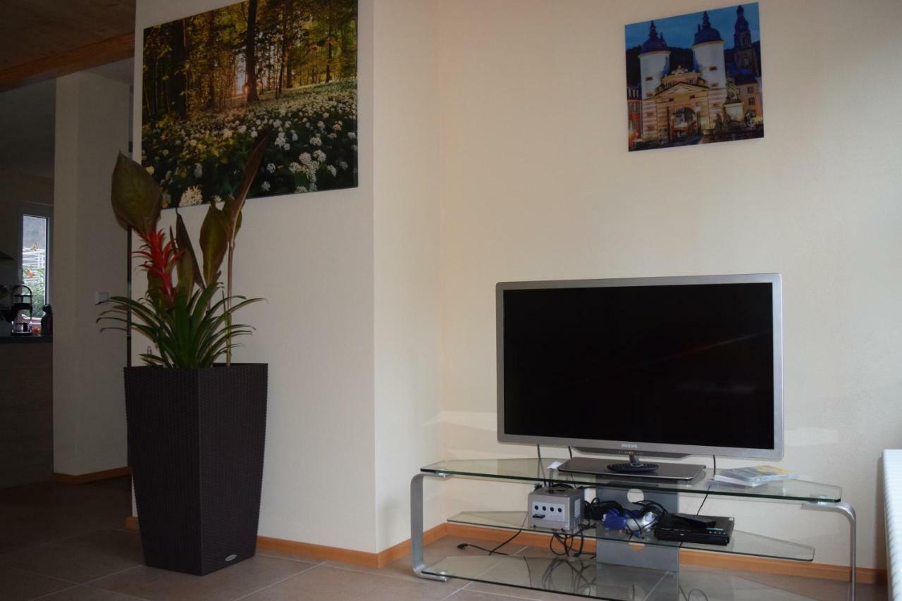 Nichtraucherferienwohnung-Neckarblick Ze-2022-74-Wz-118A Хайделберг Екстериор снимка